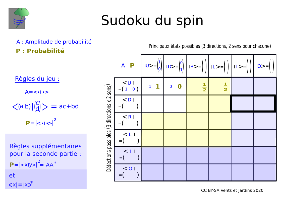 Sudoku du spin